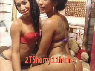 2TShorny11inch