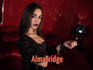 AlmaBridge