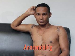 Anacondabig