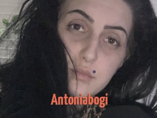 Antoniabogi