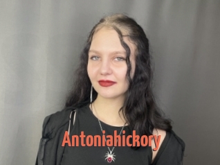 Antoniahickory