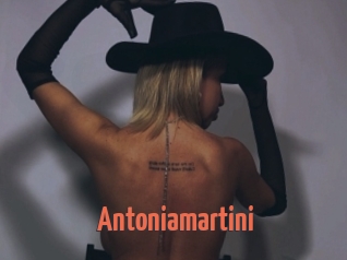 Antoniamartini