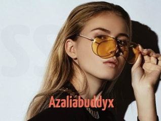 Azaliabuddyx