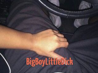 BigBoyLittleDick