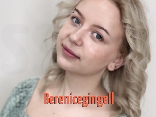 Berenicegingell