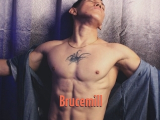 Brucemill