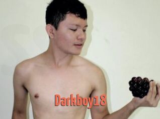 Darkboy18