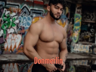 Donmerlin