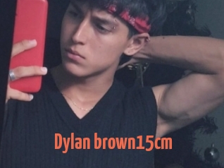 Dylan_brown15cm