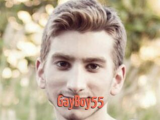 GayBoy55