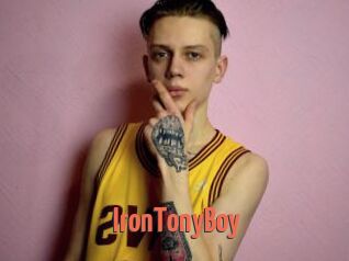 IronTonyBoy