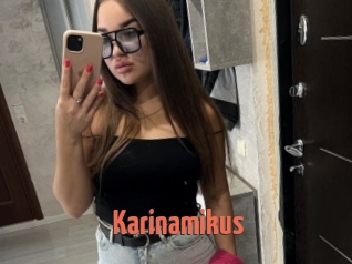 Karinamikus