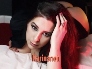 Karinanoir