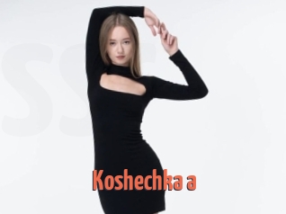 Koshechka_a