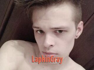 LapkinGray