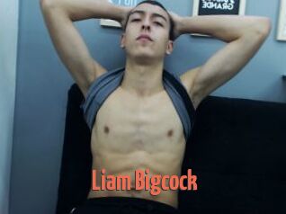 Liam_Bigcock