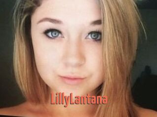 LillyLantana