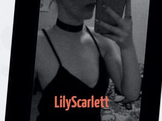 Lily_Scarlett