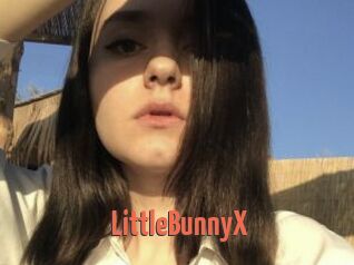 LittleBunnyX