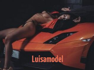 Luisamodel