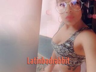 Latinbadrabbit