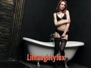 Lilnaughtyfox