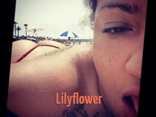 Lilyflower