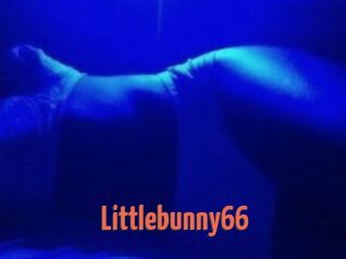 Littlebunny66