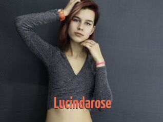 Lucindarose