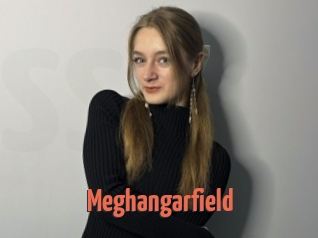 Meghangarfield