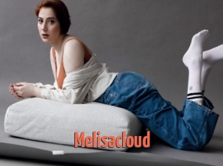 Melisacloud