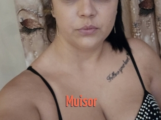 Muisor