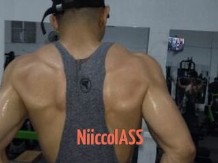 NiiccolASS