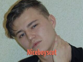 Niceboyscot