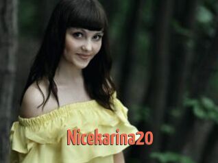 Nicekarina20