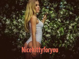 Nicekittyforyou