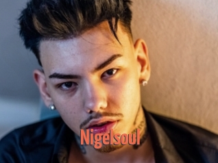 Nigelsoul