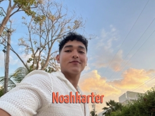 Noahkarter