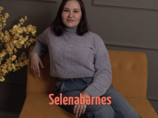 Selenabarnes