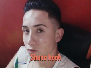 Shane_hook