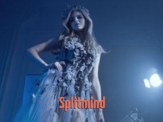 Splitmind