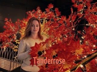 Tanderrose